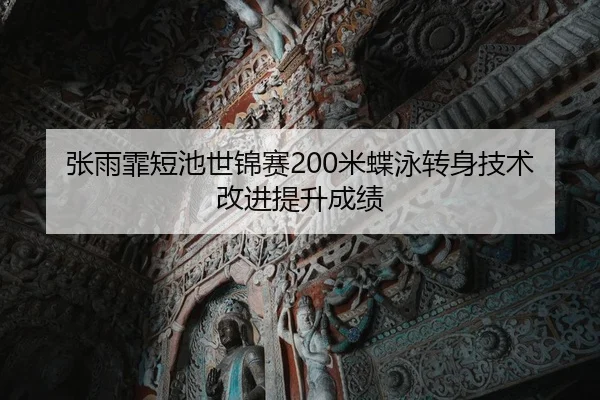 zhang-yu-fei-duan-chi-shi-jin-sai-mi-die-yong-zhuan-shen-ji-shu-gai-jin-ti-sheng-cheng-ji-3-673.jpg