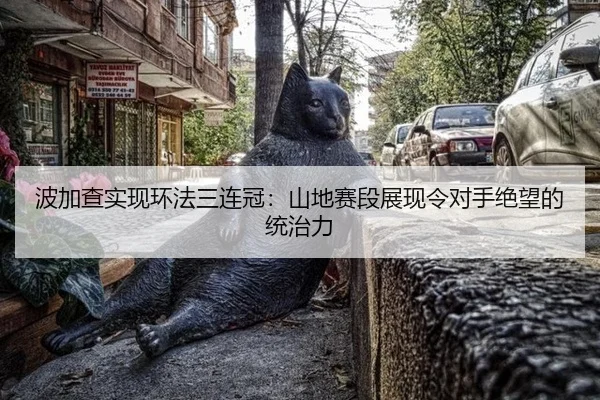 bo-jia-cha-shi-xian-huan-fa-san-lian-guan-shan-di-sai-duan-zhan-xian-ling-dui-shou-jue-wang-de-tong-zhi-li-2-176.jpg