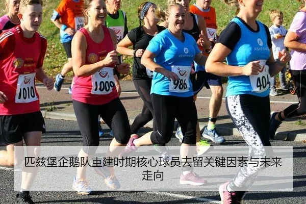 pi-zi-bao-qi-e-dui-chong-jian-shi-qi-he-xin-qiu-yuan-qu-liu-guan-jian-yin-su-yu-wei-lai-zou-xiang-2-512.jpg